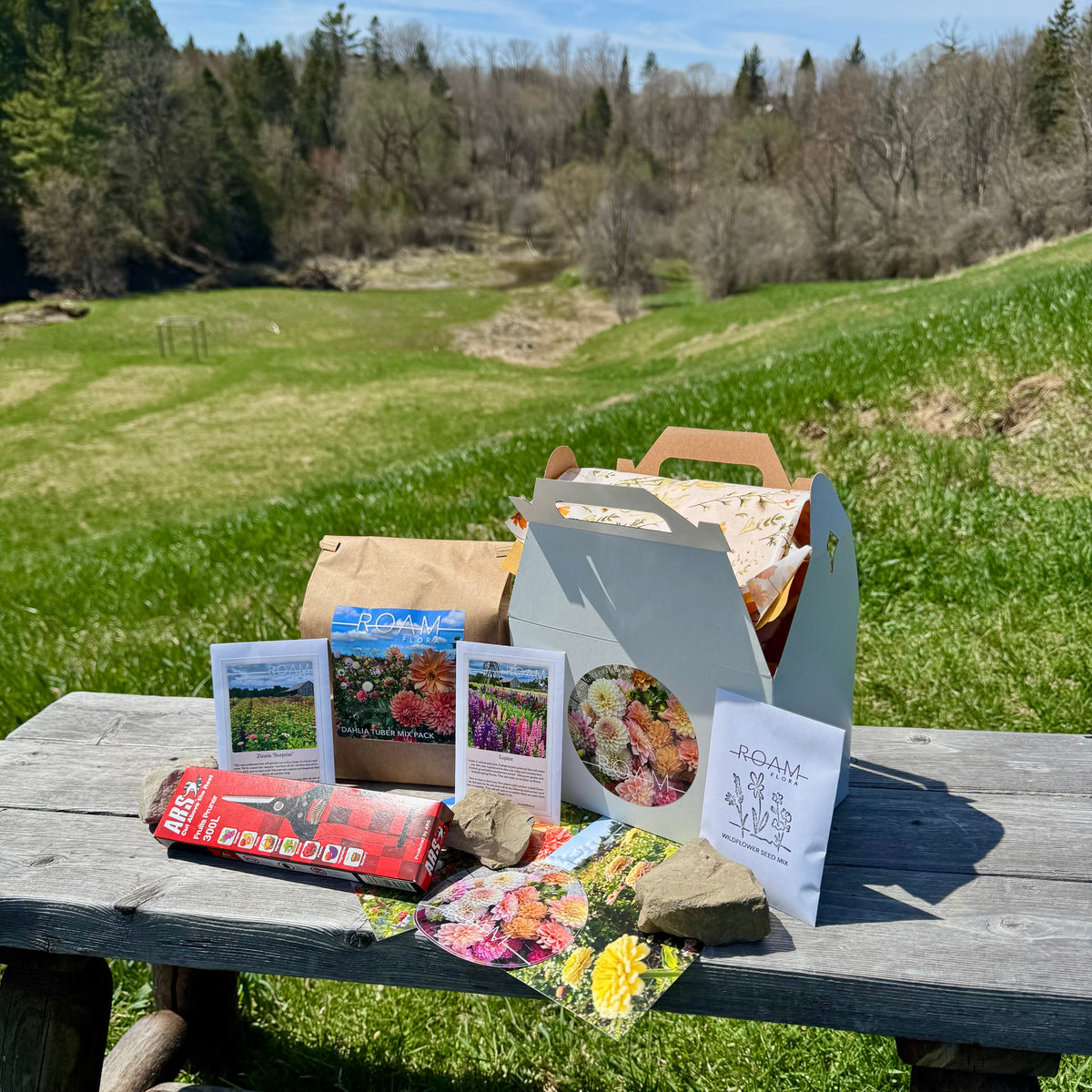 Mother's Day Garden Bundle
