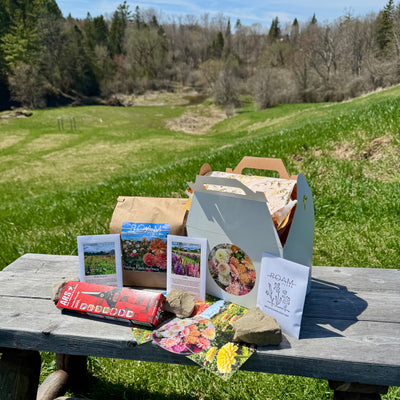 Mother's Day Garden Bundle
