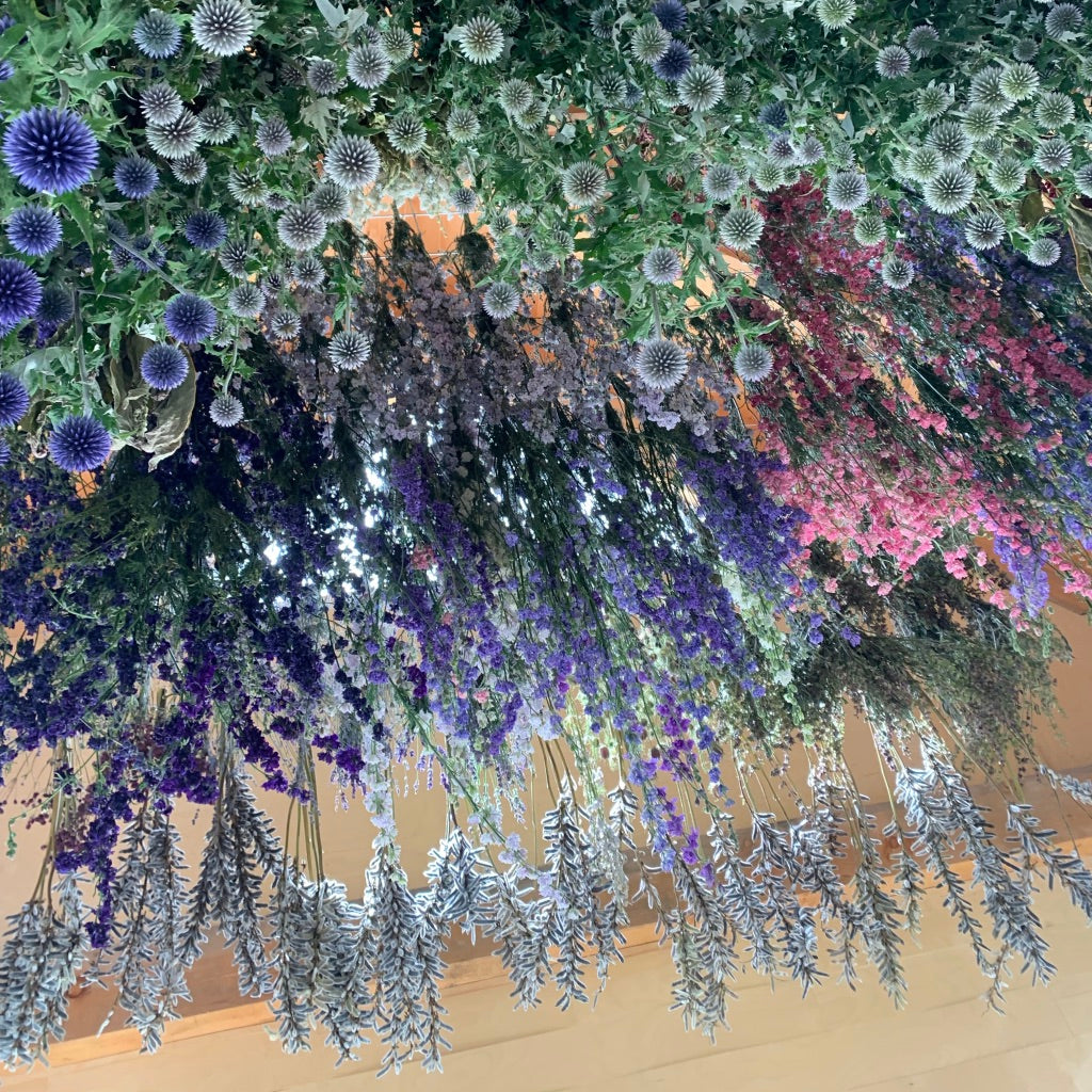 Dried Floral Box
